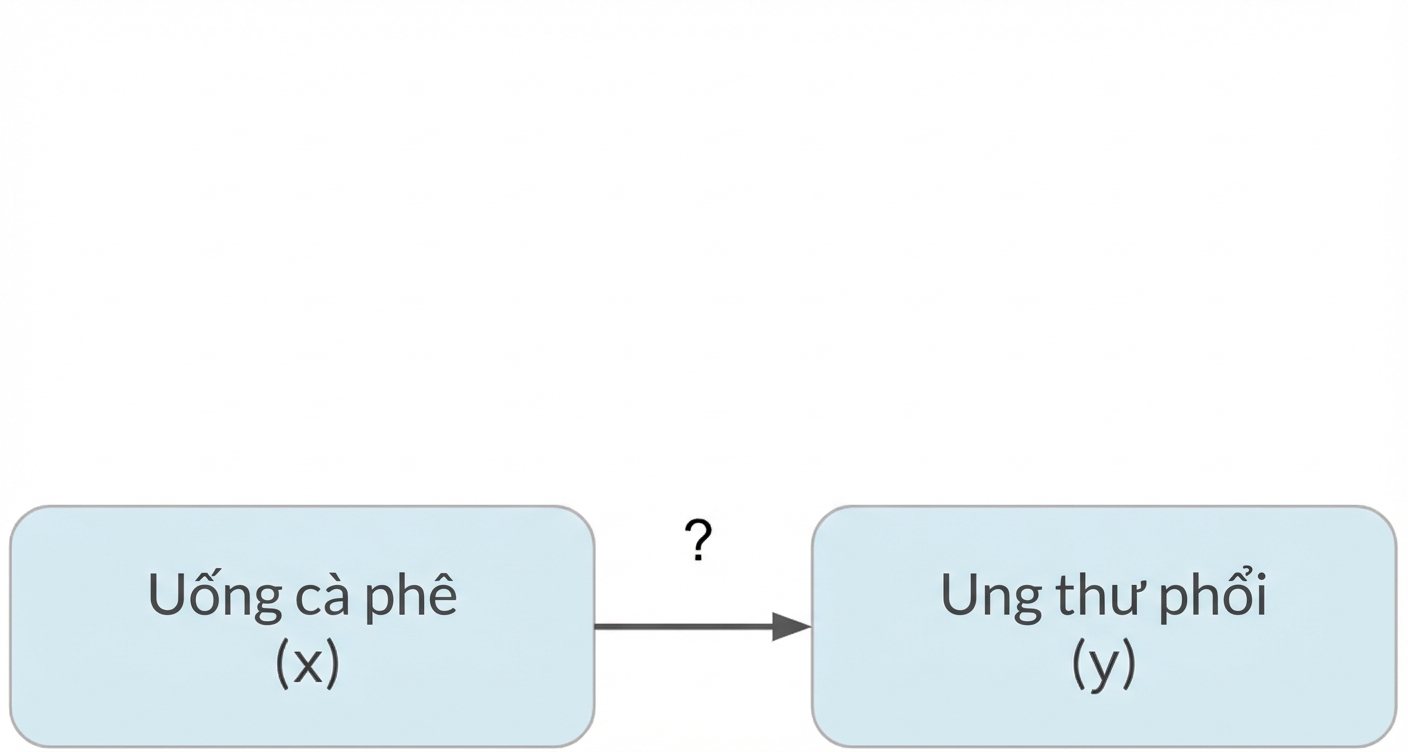 Uống cà phê (x) trỏ đến ung thư phổi (y)