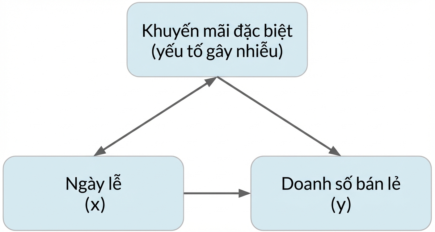 Kỳ nghỉ (x) trỏ đến doanh số bán lẻ (y). Khuyến mãi (biến nhiễu) có mũi tên hai chiều với kỳ nghỉ và mũi tên đơn đến doanh số.