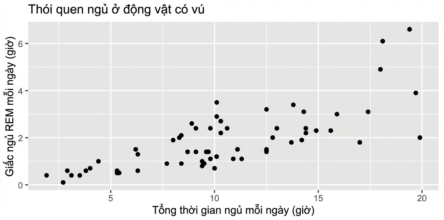 Biểu đồ phân tán thói quen ngủ của động vật có vú, thể hiện tổng giờ ngủ/ngày so với giờ ngủ REM/ngày