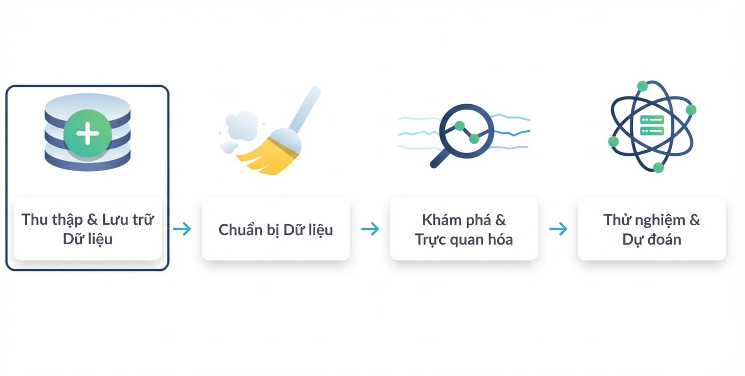 vòng tròn phần thu thập và lưu trữ dữ liệu