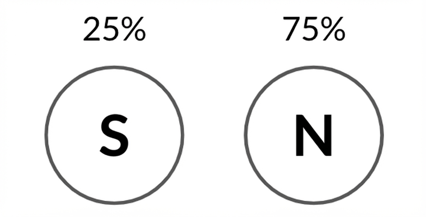 Mặt sấp với xác suất 25% và mặt ngửa với xác suất 75%