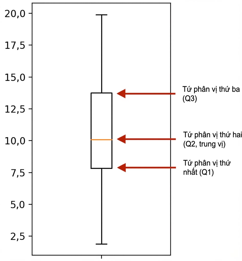 Biểu đồ hộp sleep_total.png