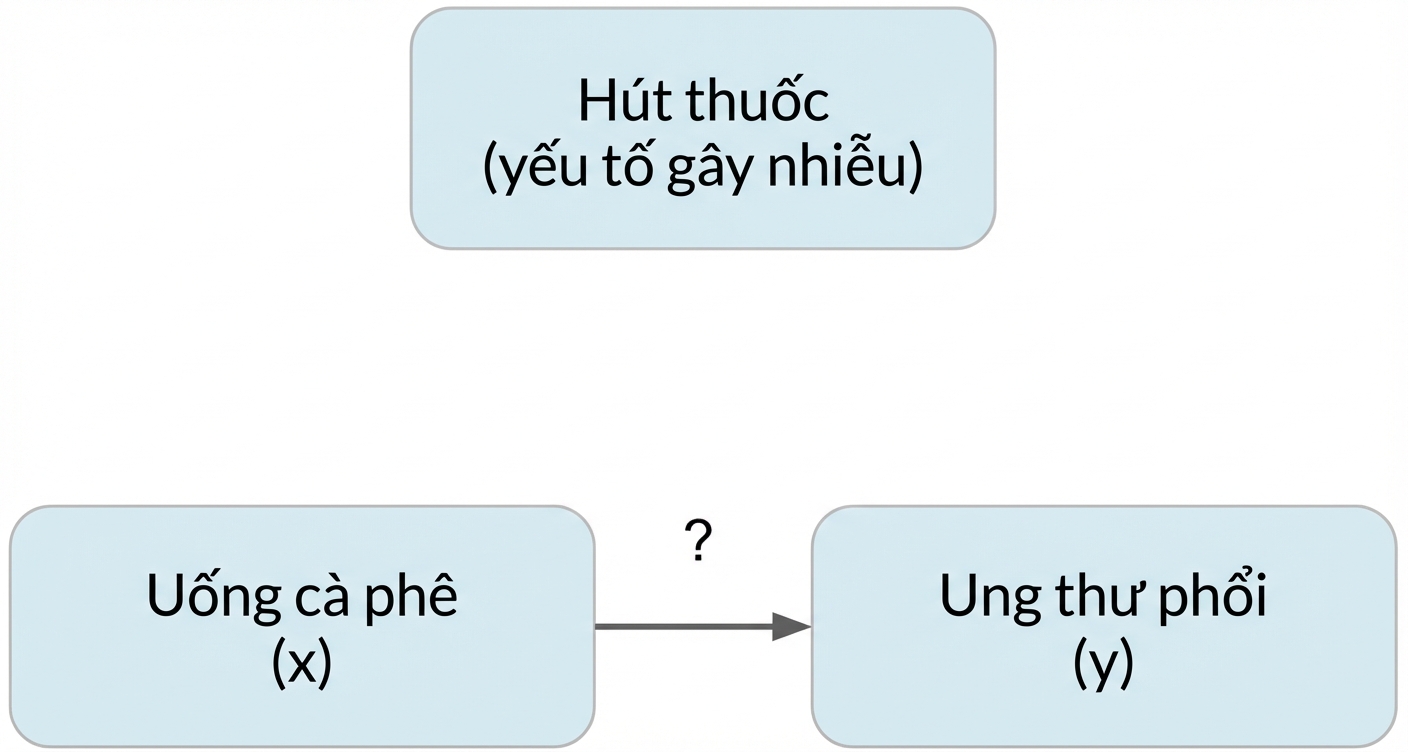 Uống cà phê (x) trỏ tới ung thư phổi (y) với hút thuốc (yếu tố gây nhiễu) phía trên