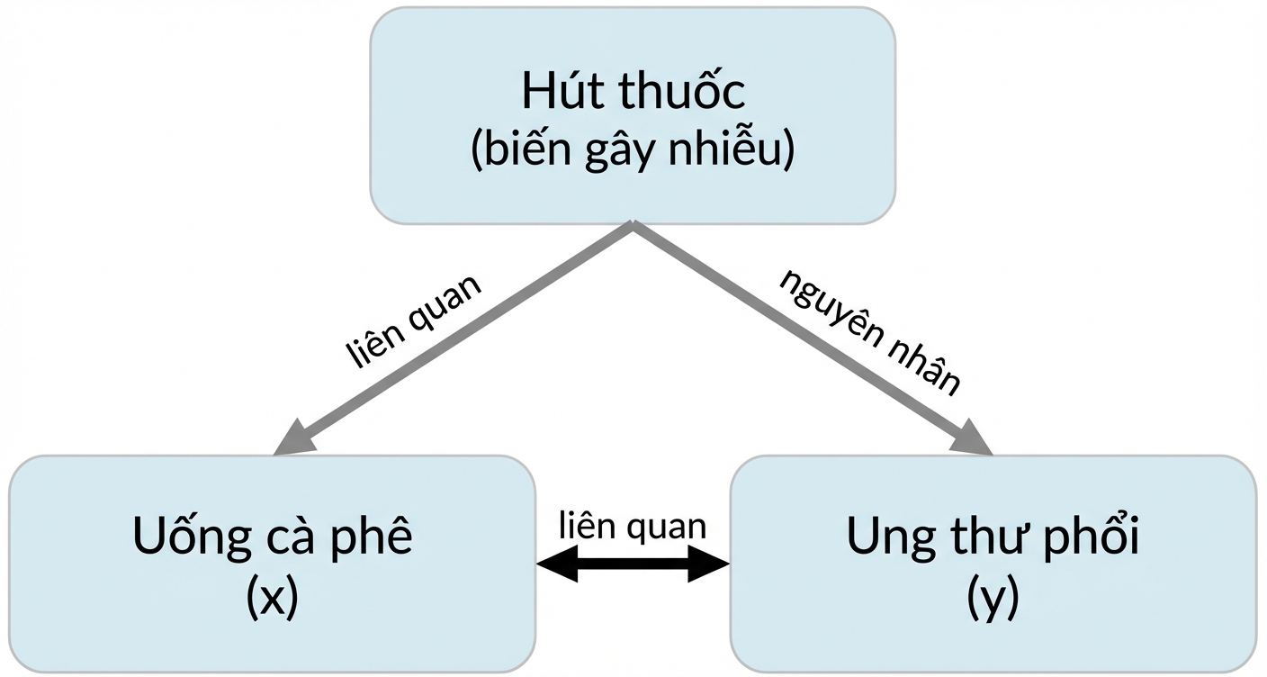 Uống cà phê (x) với mũi tên hai chiều tới ung thư phổi (y) ghi "liên hệ". Mũi tên hai chiều giữa hút thuốc và uống cà phê ghi "liên hệ". Mũi tên từ hút thuốc đến ung thư phổi ghi "nhân quả".