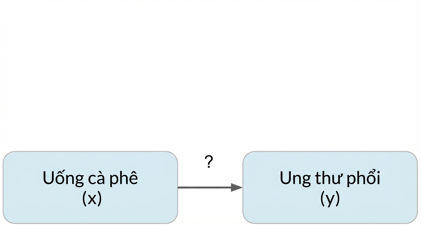 Uống cà phê (x) trỏ tới ung thư phổi (y)