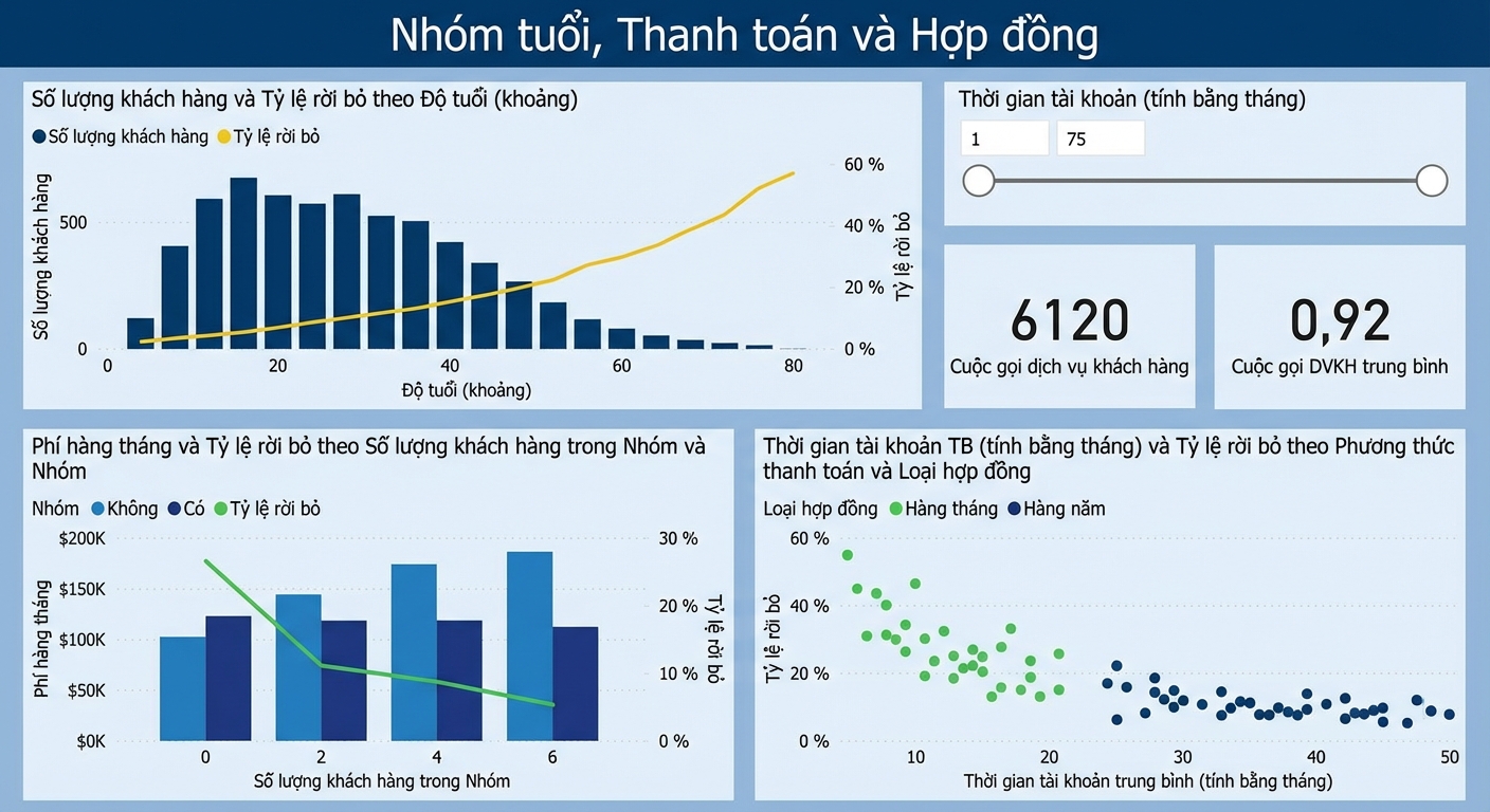 Trang báo cáo Nhóm tuổi, Thanh toán và Hợp đồng