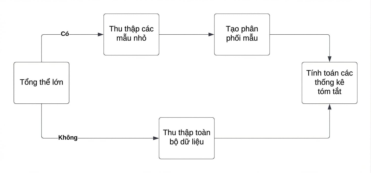 quy trình định lý giới hạn trung tâm.jpg