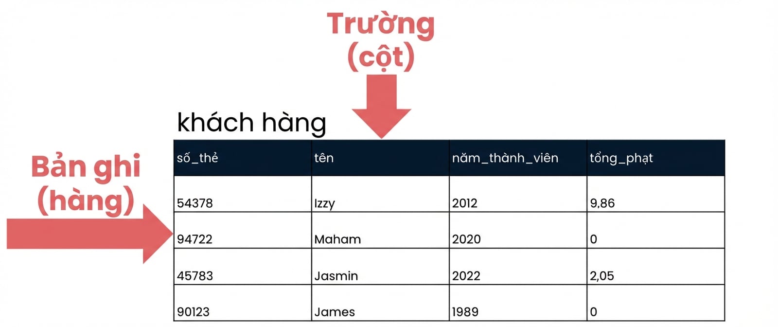 Bảng bạn đọc với các bản ghi và trường được xác định