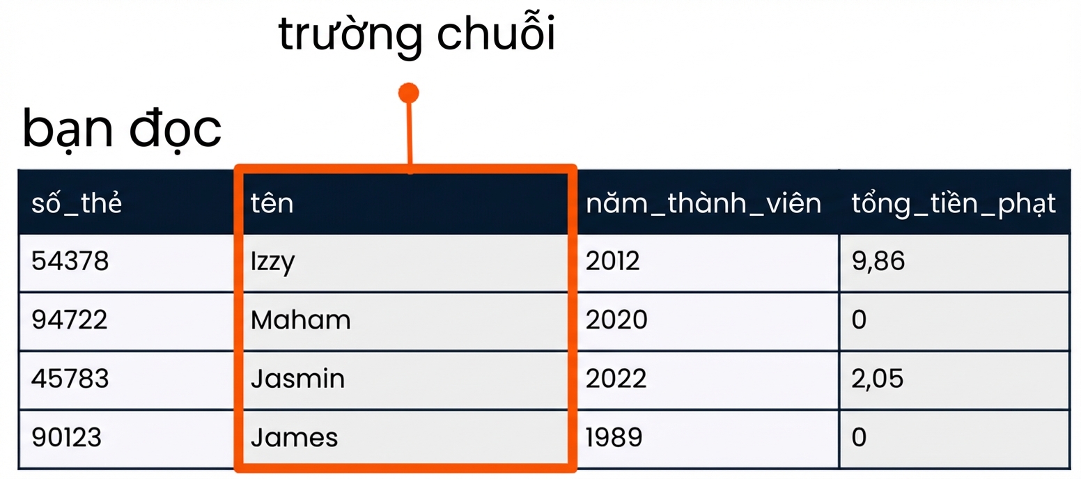 Bảng bạn đọc trong đó trường name được đánh dấu làm ví dụ về trường kiểu string