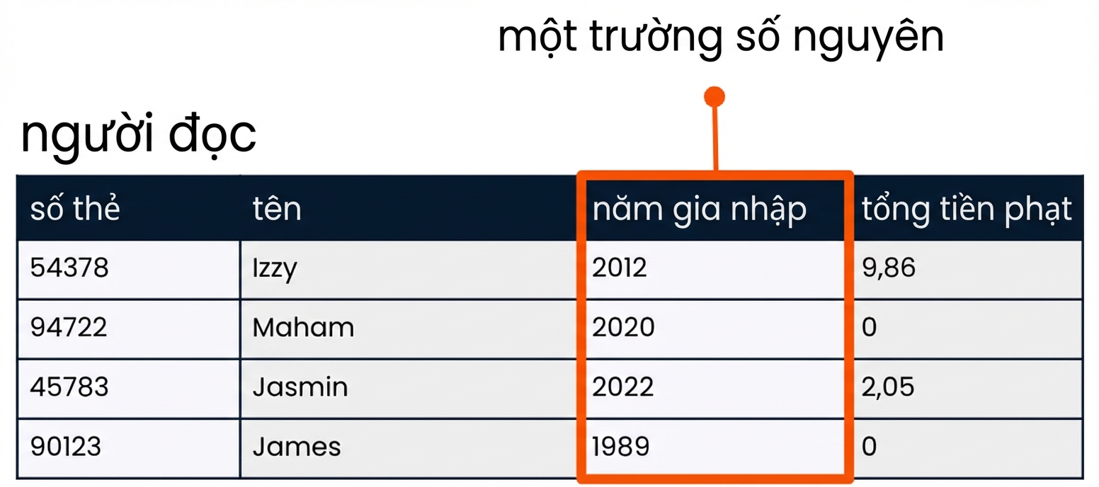 Bảng bạn đọc trong đó trường member_year được đánh dấu làm ví dụ về trường kiểu integer