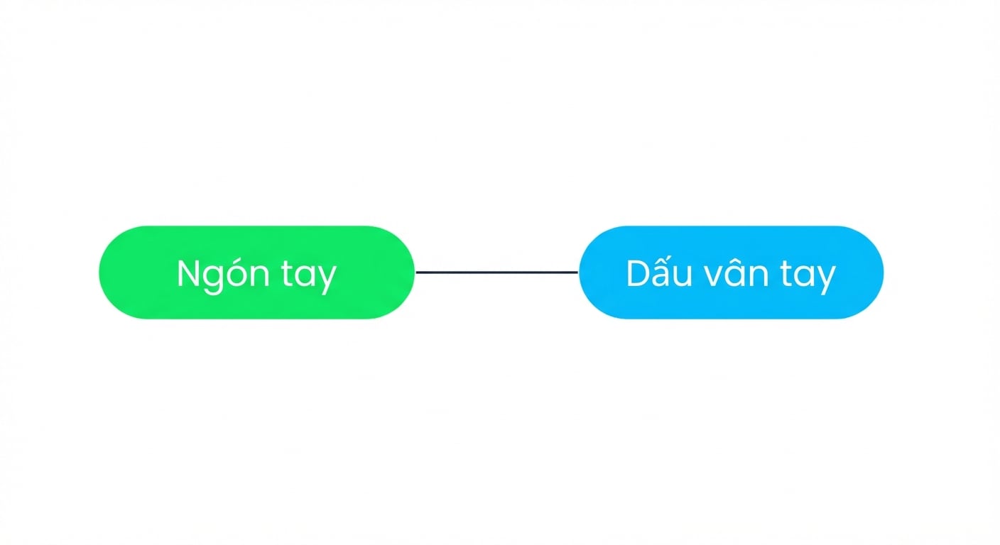 Sơ đồ cho thấy mỗi dấu vân tay chỉ có thể gắn với một hành khách.