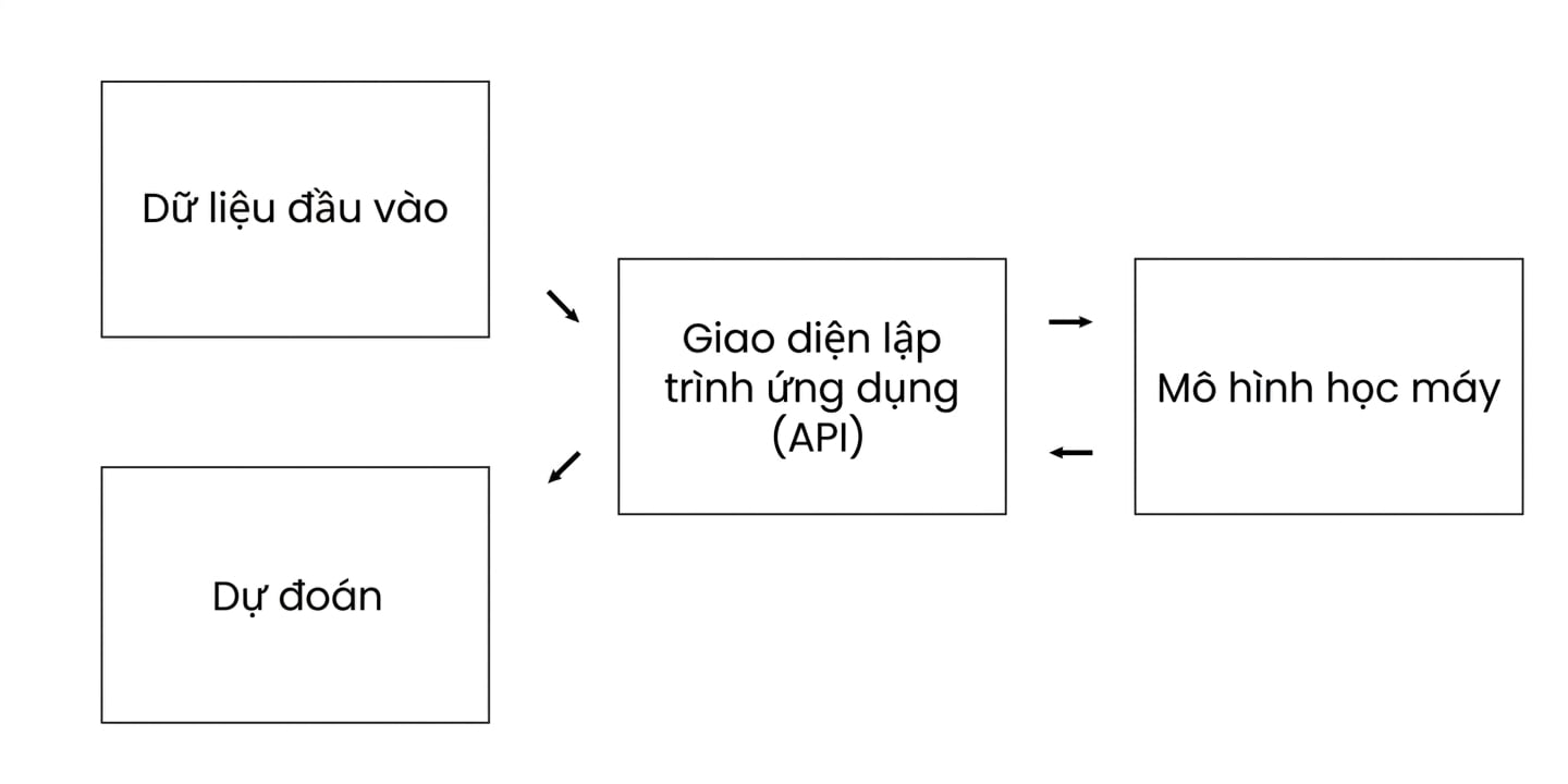 Application programming interface excluding information