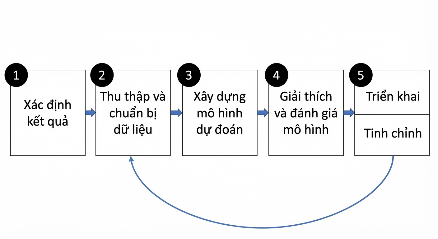 Các bước mô hình dự báo