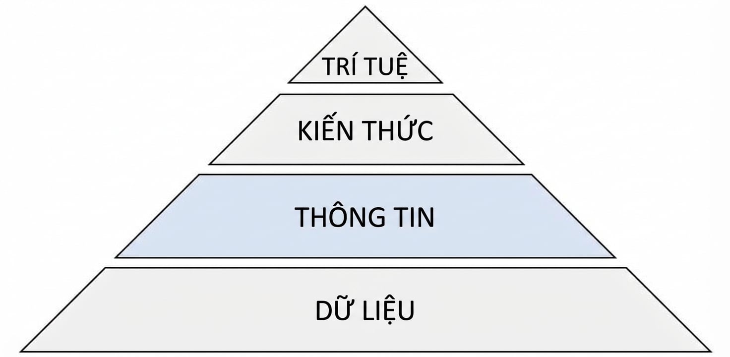 sơ đồ kim tự tháp DIKW với bước information được tô sáng
