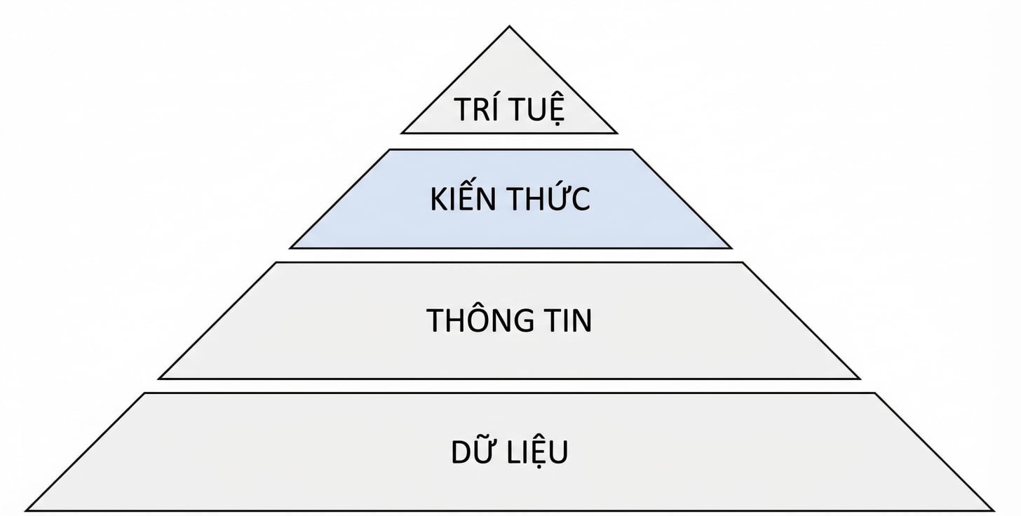 sơ đồ kim tự tháp DIKW với bước knowledge được tô sáng