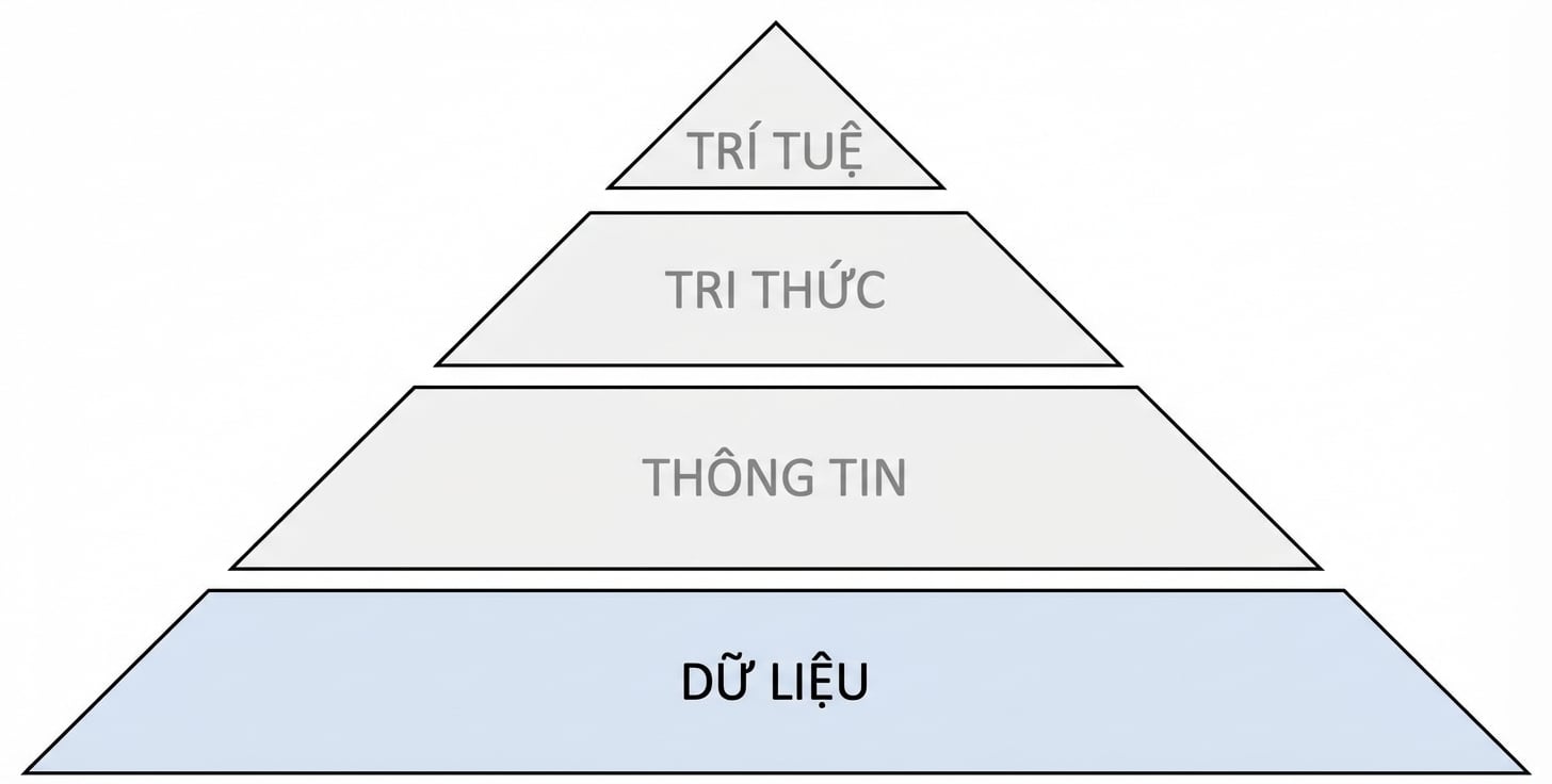 sơ đồ kim tự tháp DIKW với bước data được tô sáng
