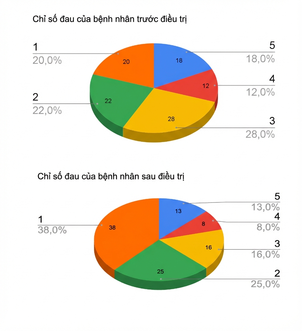 Hai biểu đồ bánh 3D hiển thị kết quả trước và sau điều trị