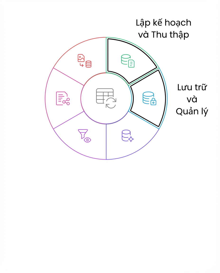 vòng đời dữ liệu lưu trữ và quản lý