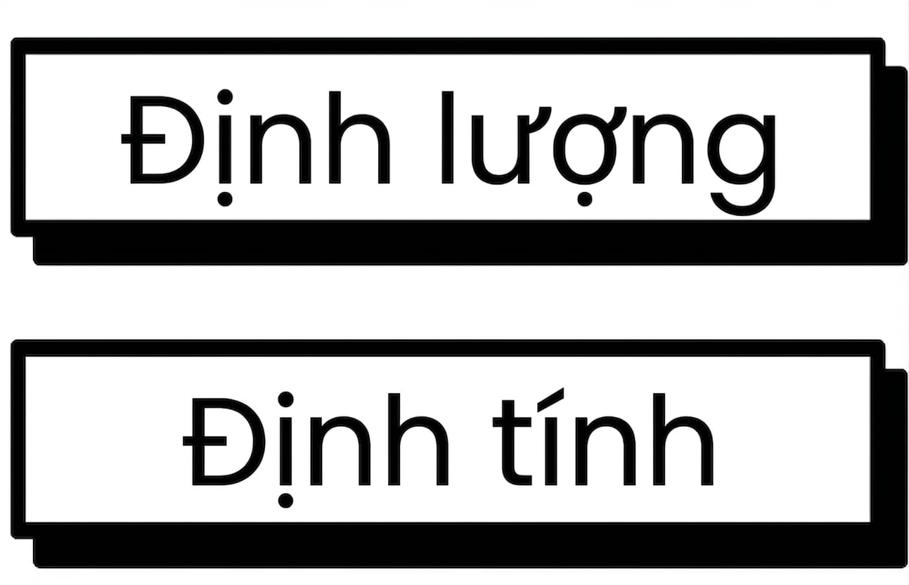 Dữ liệu định lượng hoặc định tính