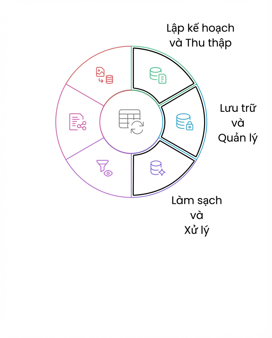 vòng đời dữ liệu làm sạch và xử lý