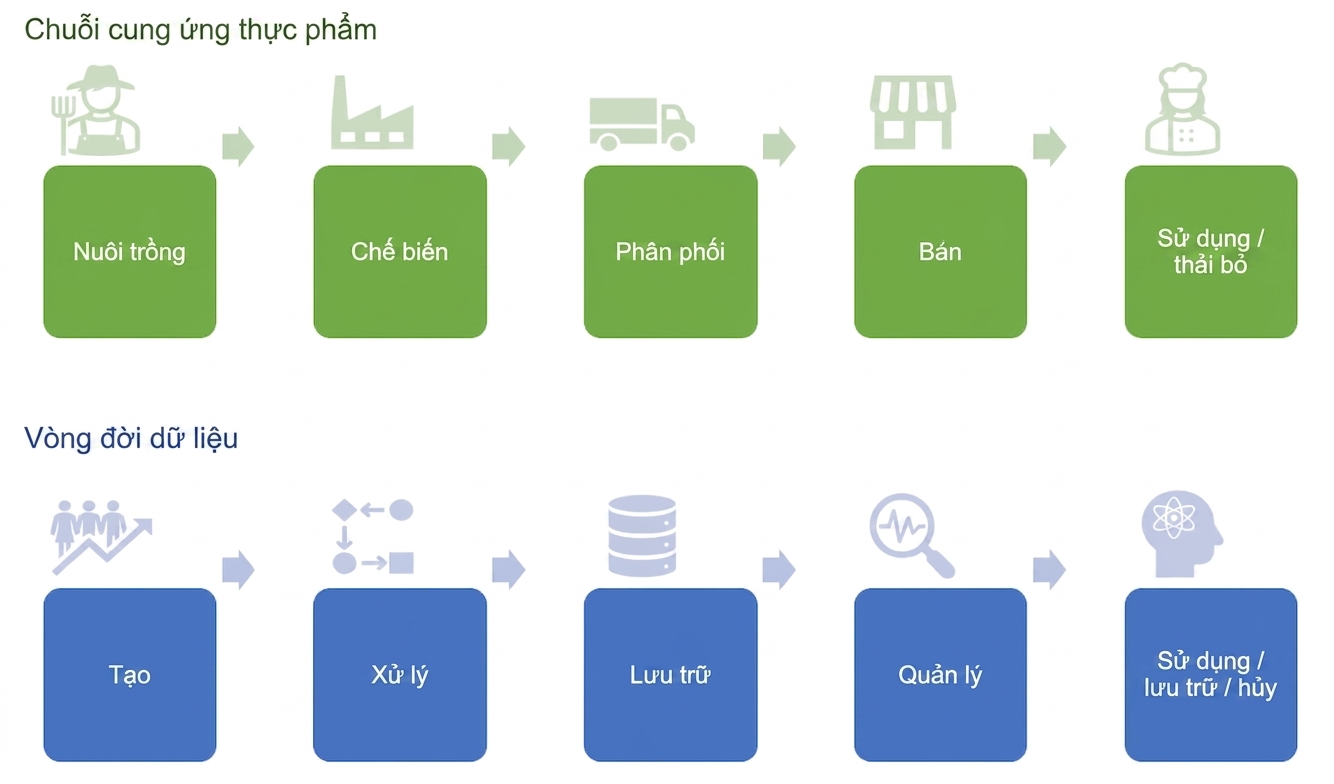 Chuỗi cung ứng thực phẩm và vòng đời dữ liệu
