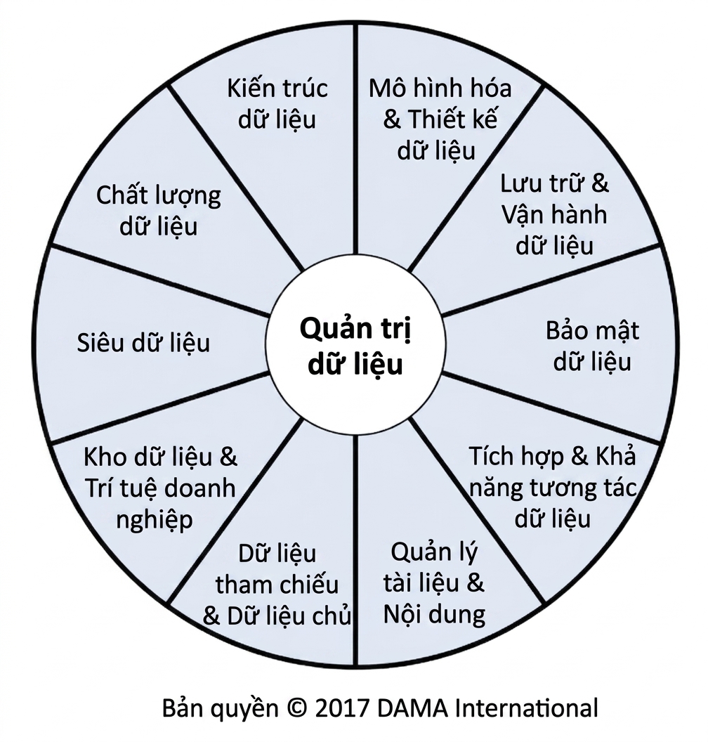 Hình ảnh bánh xe DAMA Data Management Body of Knowledge hiển thị mười lĩnh vực kiến thức quản lý dữ liệu.