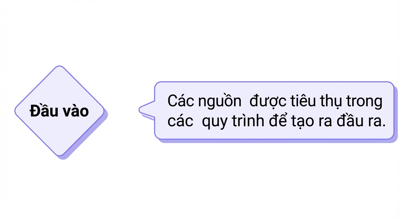 đầu vào