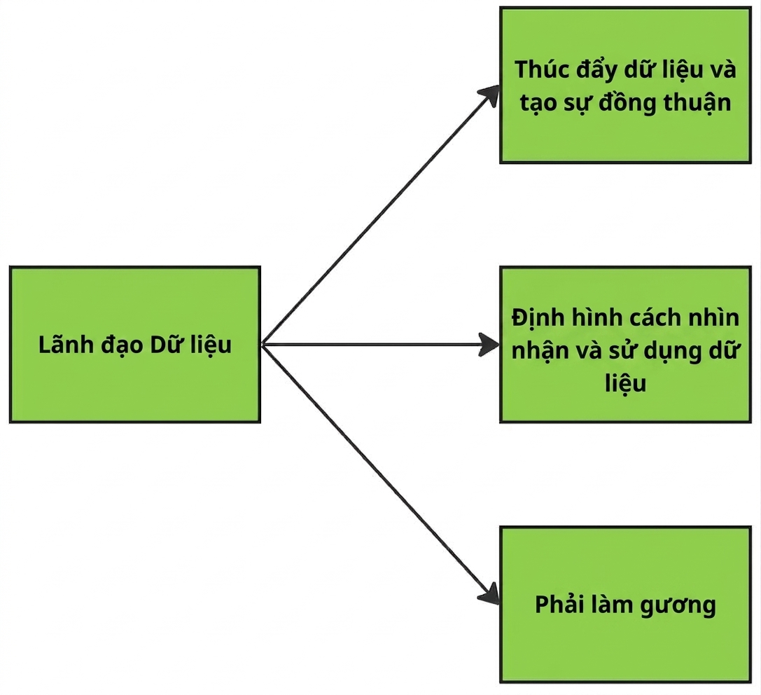 Sơ đồ minh họa nhiệm vụ của lãnh đạo dữ liệu.
