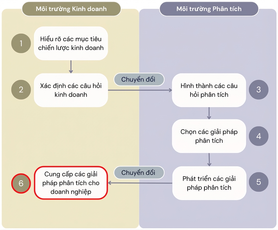 Sơ đồ hiển thị cả sáu bước của quy trình "Giá trị từ phân tích" tách biệt môi trường kinh doanh và môi trường phân tích.