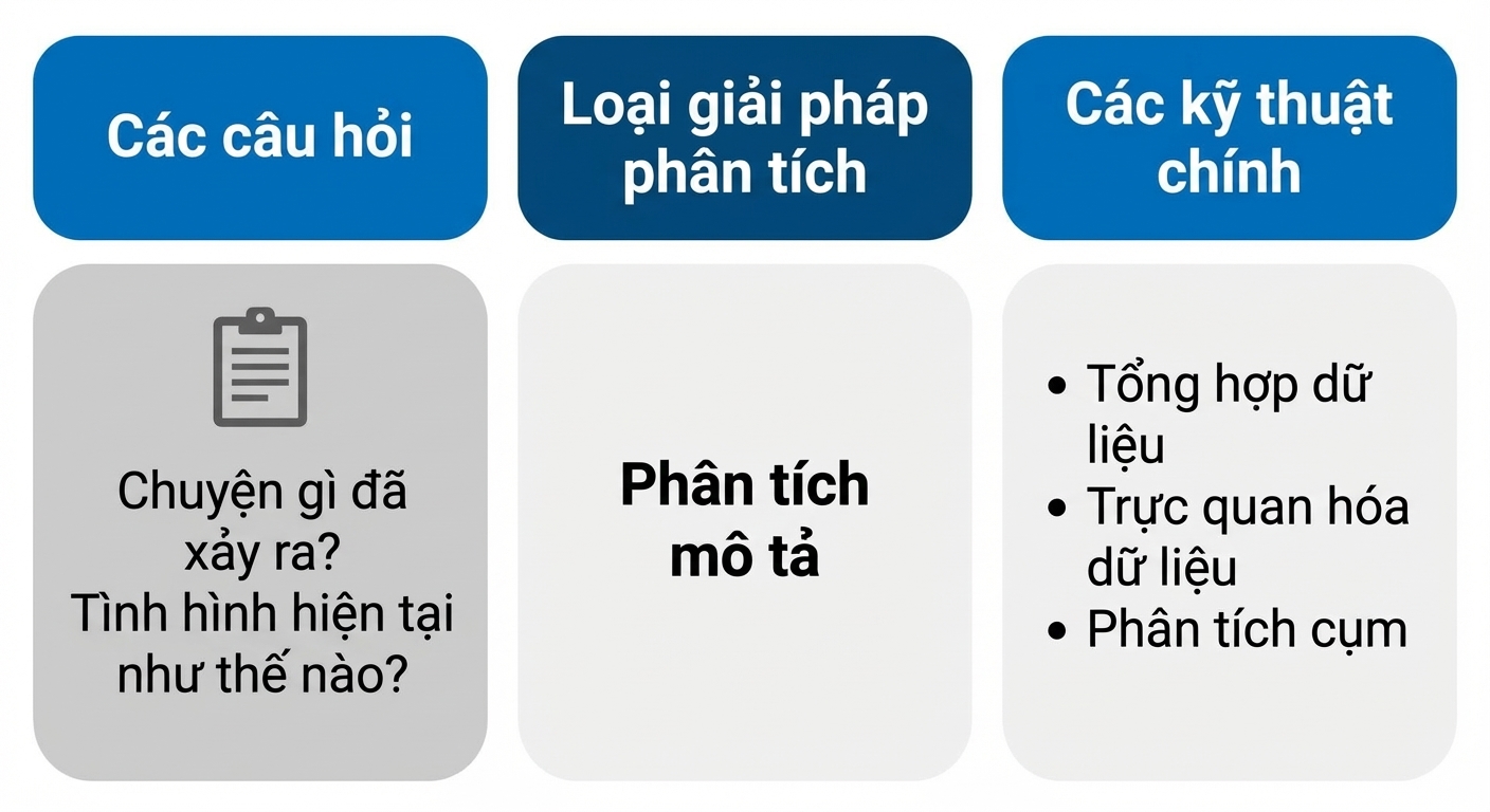 Câu hỏi và kỹ thuật trong phân tích mô tả