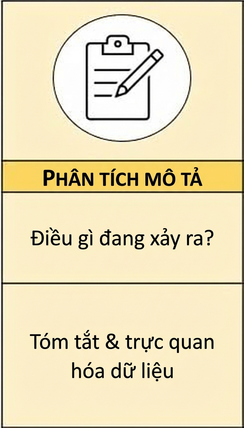 Hình tóm tắt phân tích mô tả