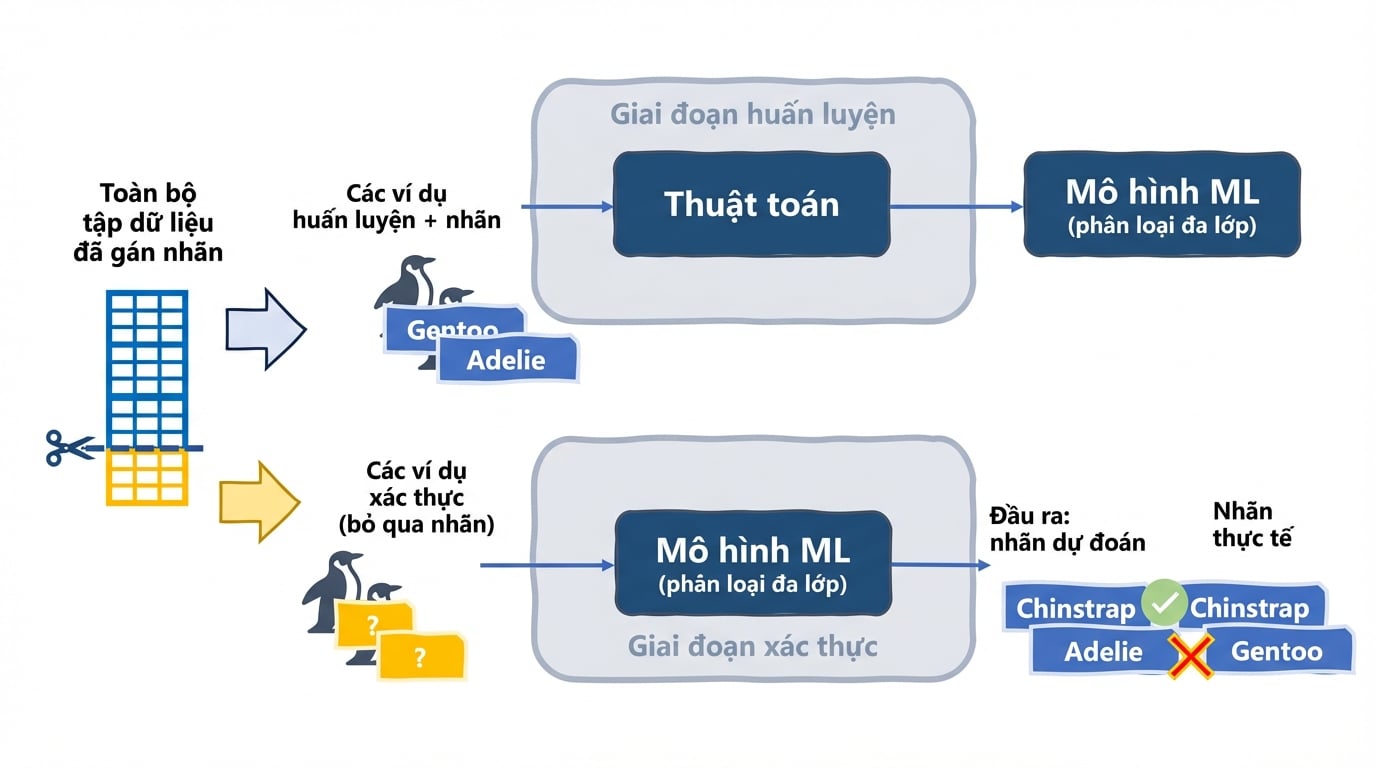 So sánh dự đoán với nhãn thực tế