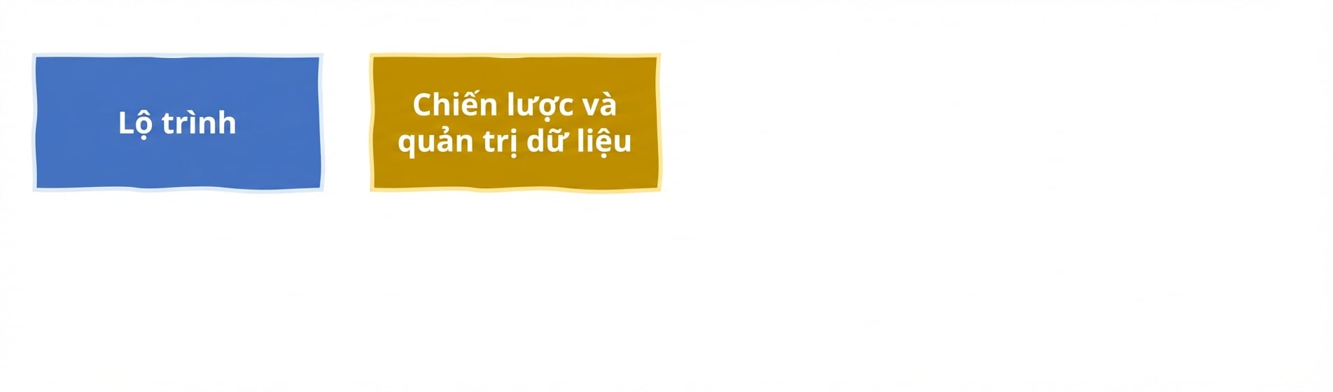 Chiến lược và quản trị dữ liệu