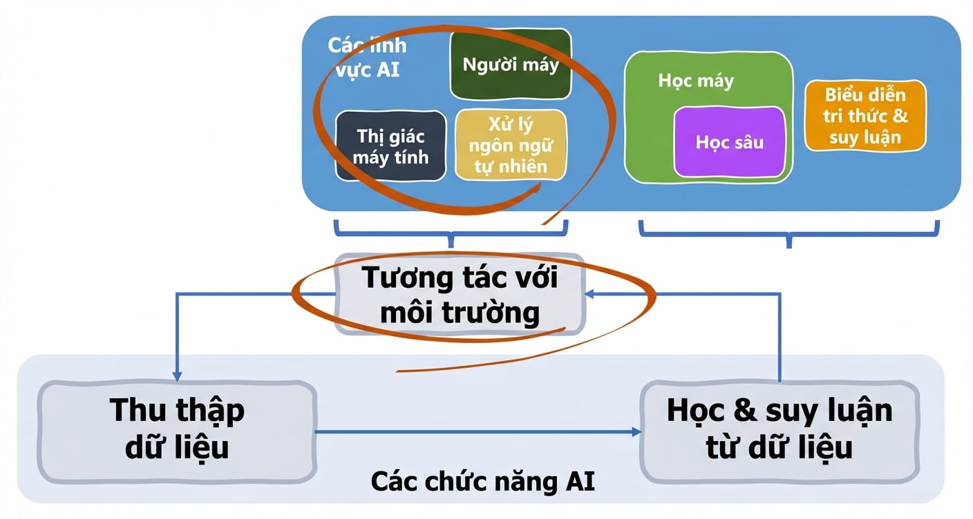 Các chức năng và lĩnh vực liên quan đến AI