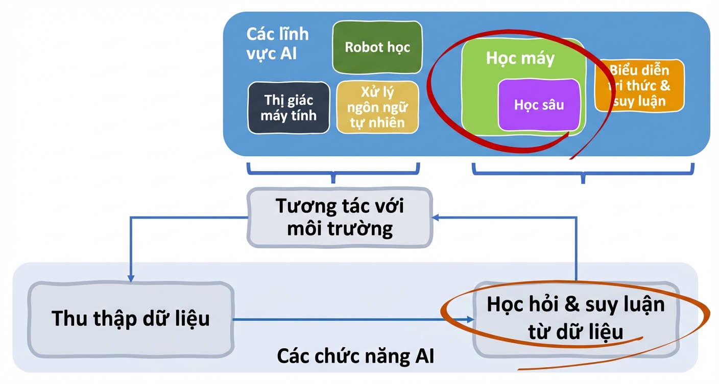 Các lĩnh vực và chức năng của AI
