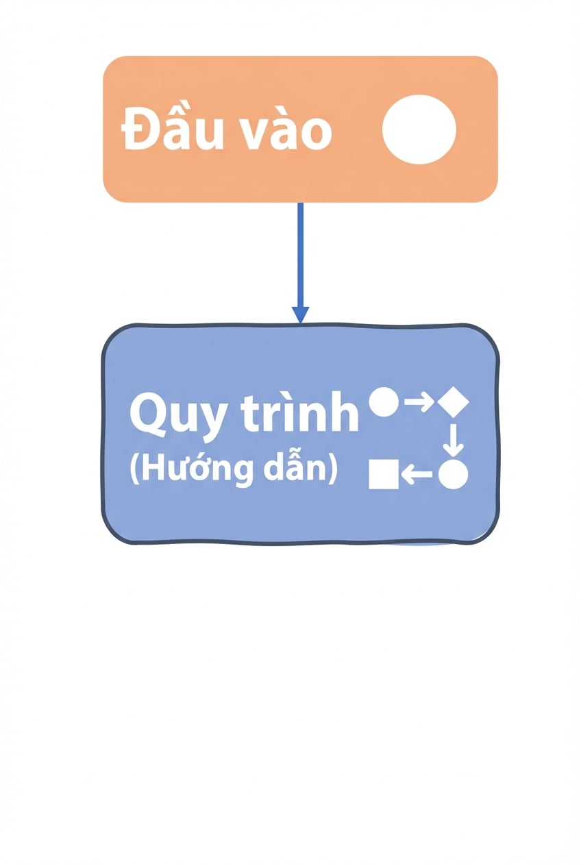 Đầu vào và quy trình