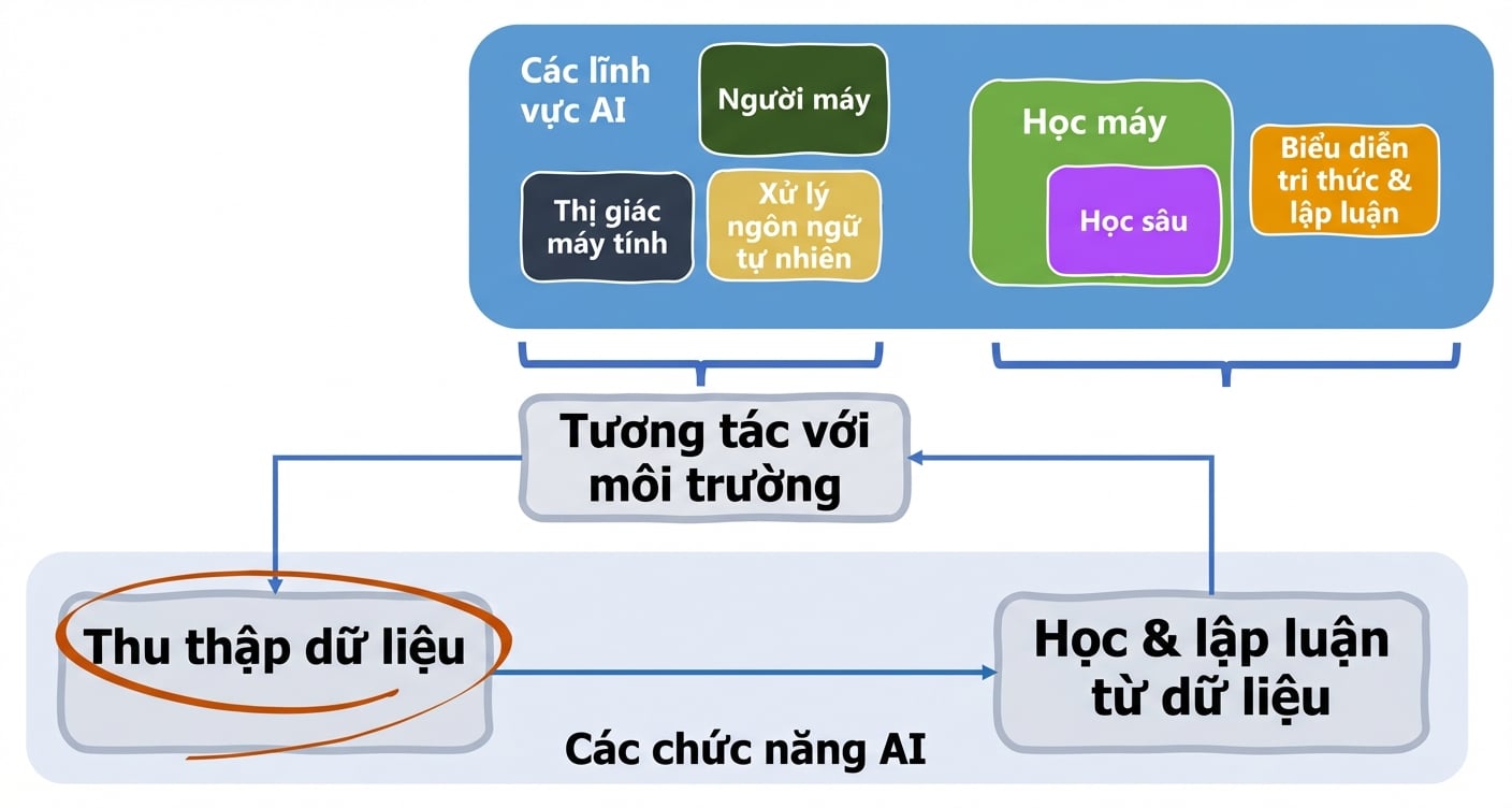 Các chức năng và lĩnh vực liên quan đến AI