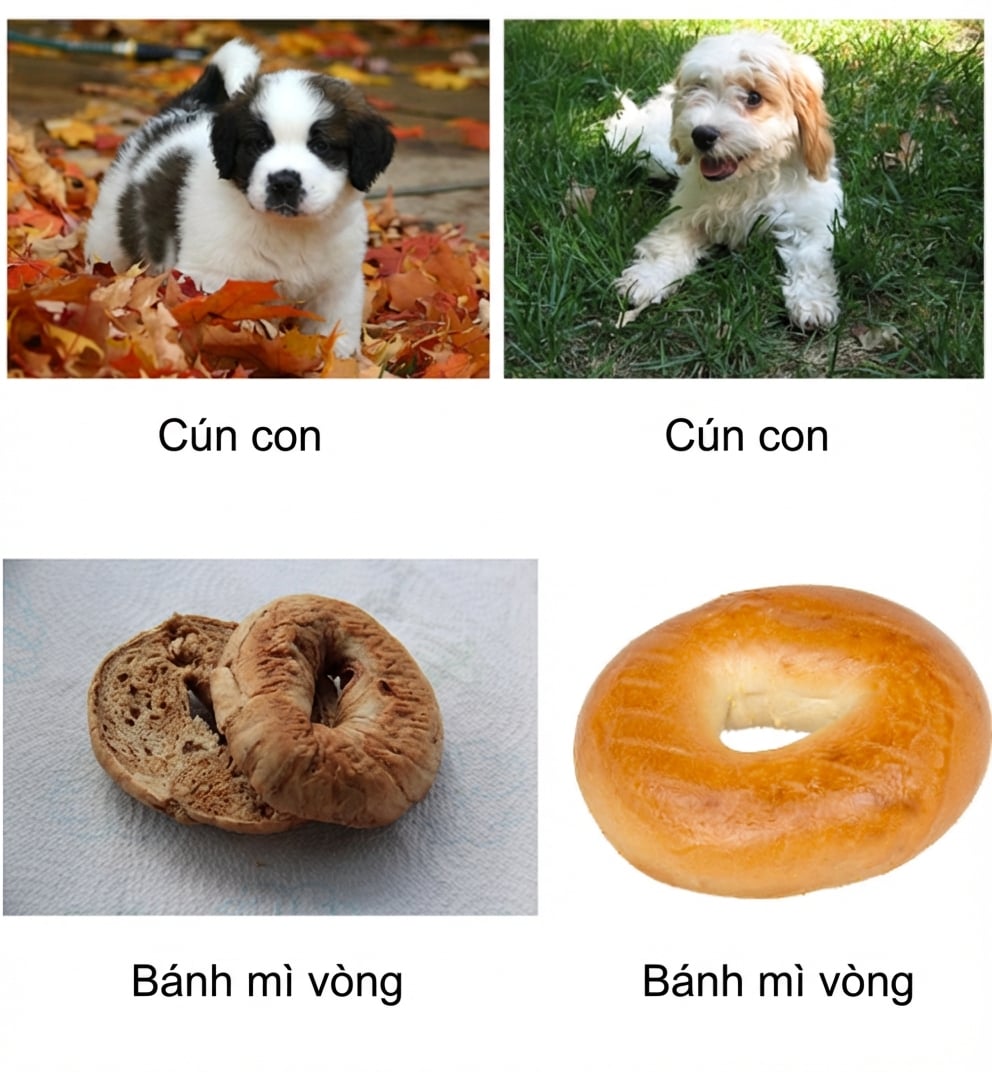 Bốn ảnh có nhãn: hai cún con và hai bánh mì vòng