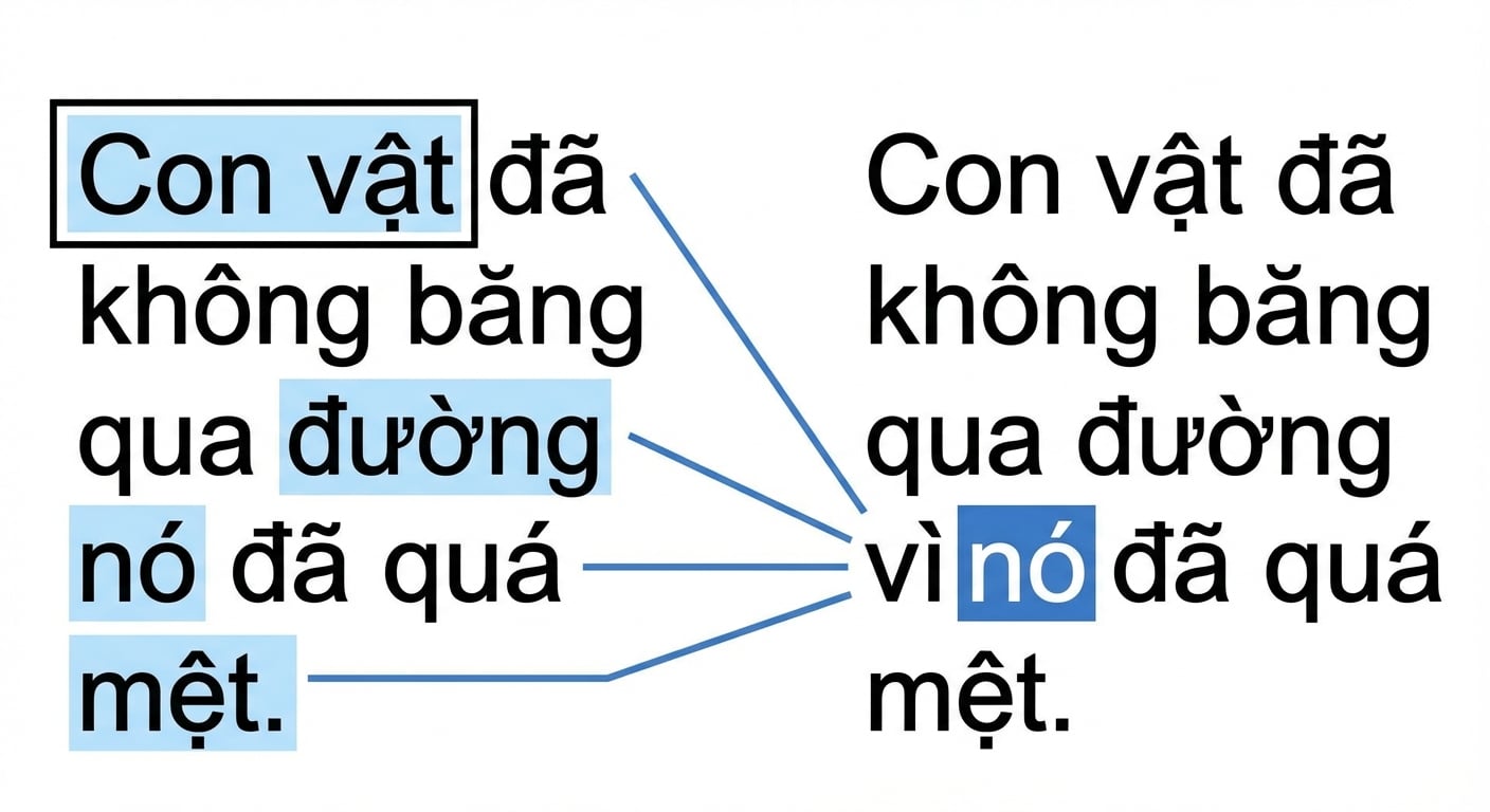 Câu: "The animal didn't cross the street because it was too tired." Từ 'it' và 'animal' được tô sáng.