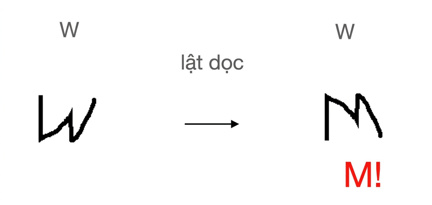 Chữ "W" sau khi lật dọc trông như chữ "M".