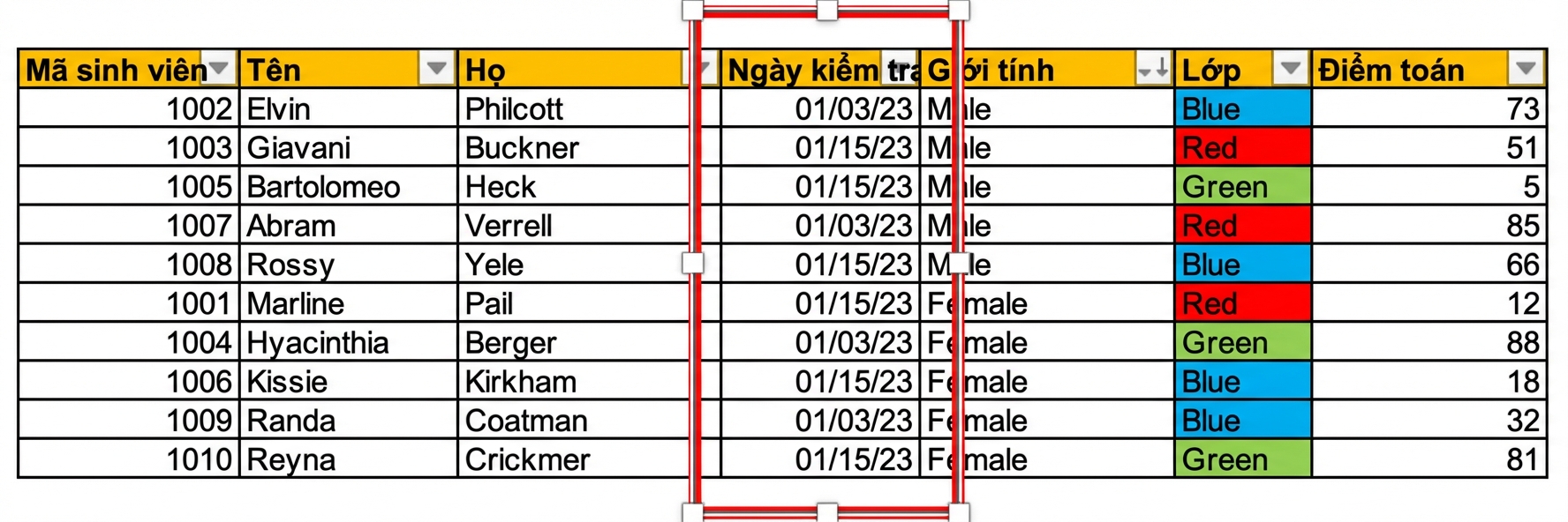 Ví dụ bảng điểm học viên nhập thủ công trong Excel với cột ngày test_date được tô sáng