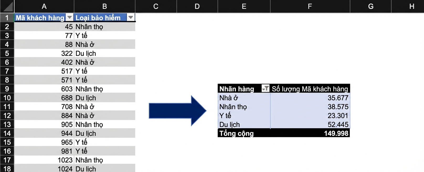 Dữ liệu bảo hiểm được tóm tắt bằng PivotTable