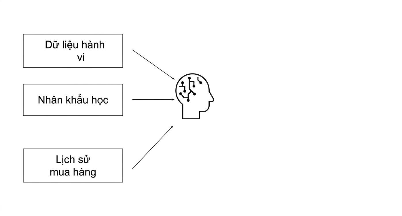 Dữ liệu hành vi, nhân khẩu học và lịch sử mua hàng được dùng trong AI.
