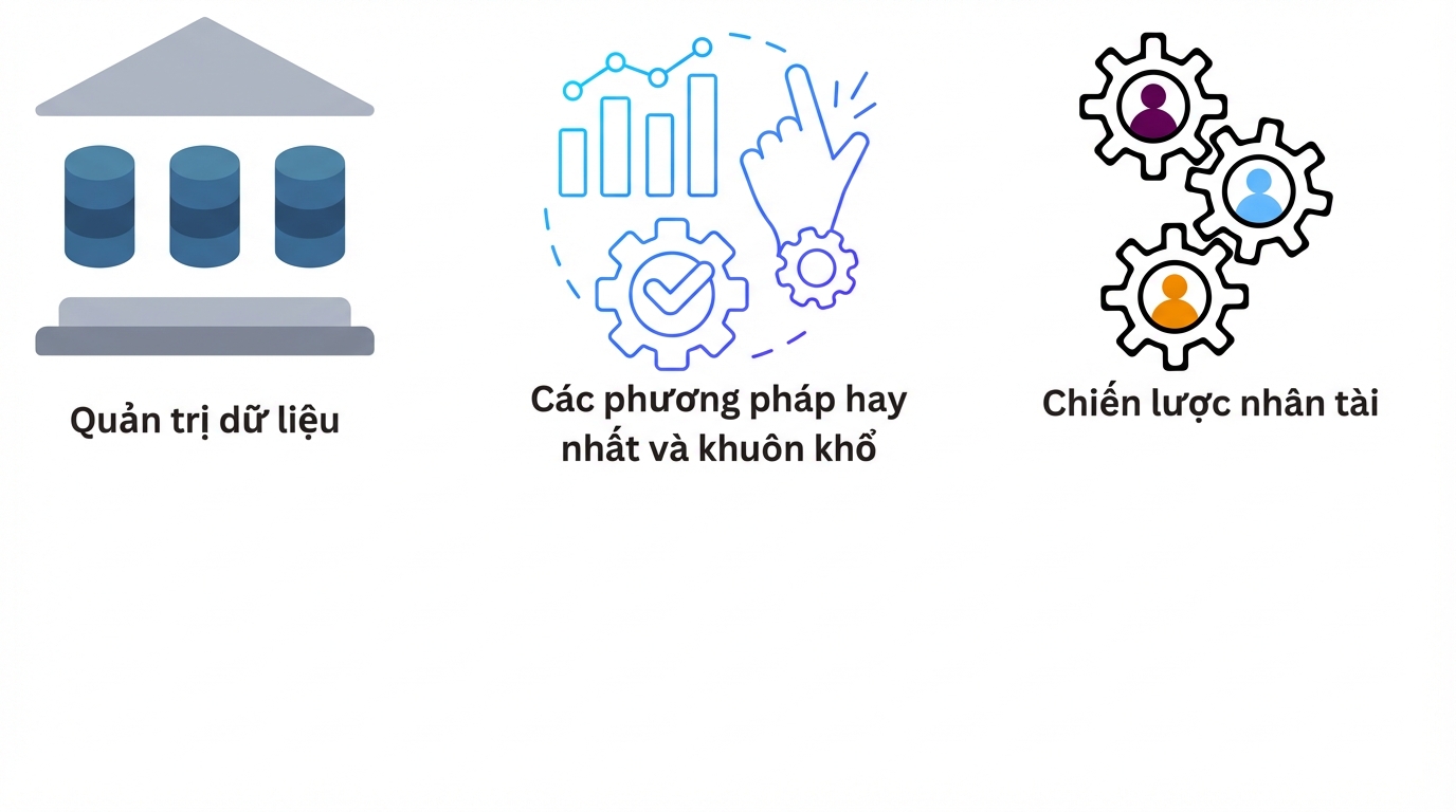 Chiến lược nhân tài