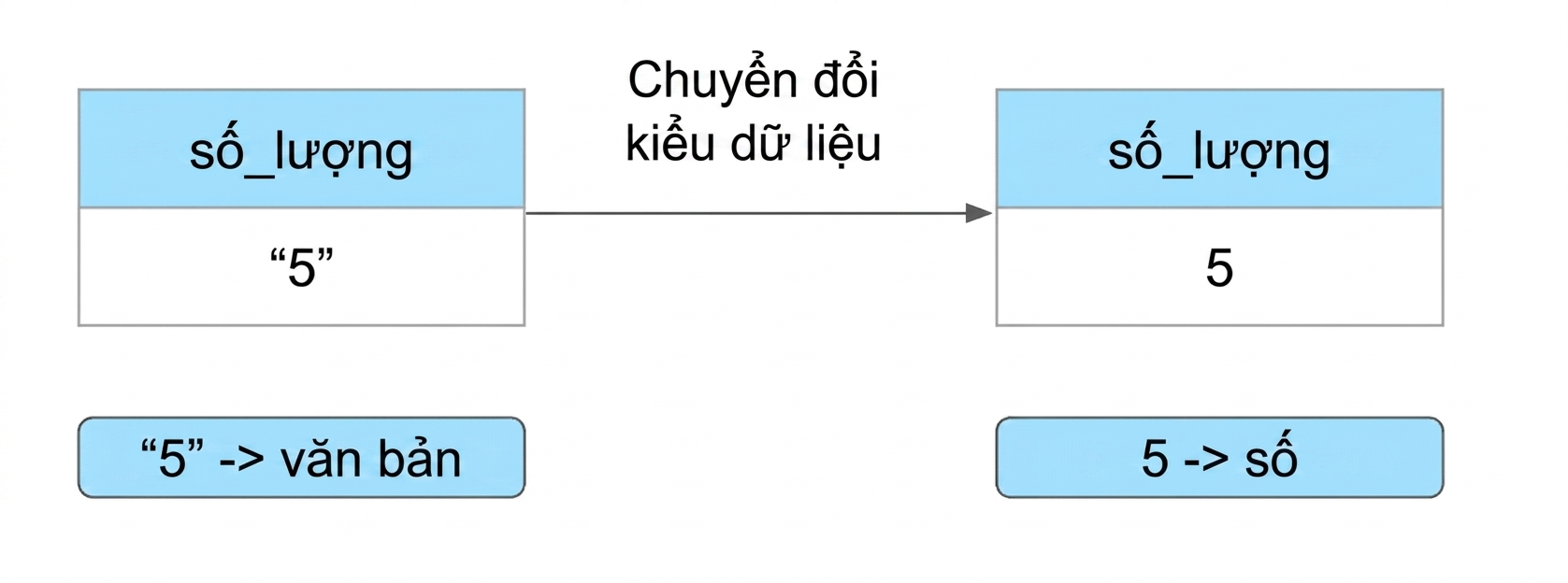 Cột số lượng đơn hàng từ văn bản sang số