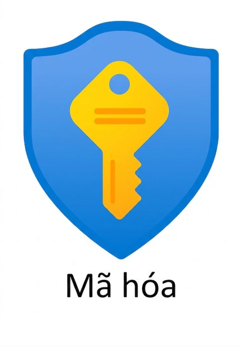 hình khiên có chìa khóa bên trong và chữ encryption phía dưới