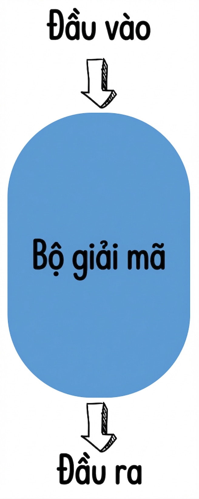 Minh họa chỉ decoder