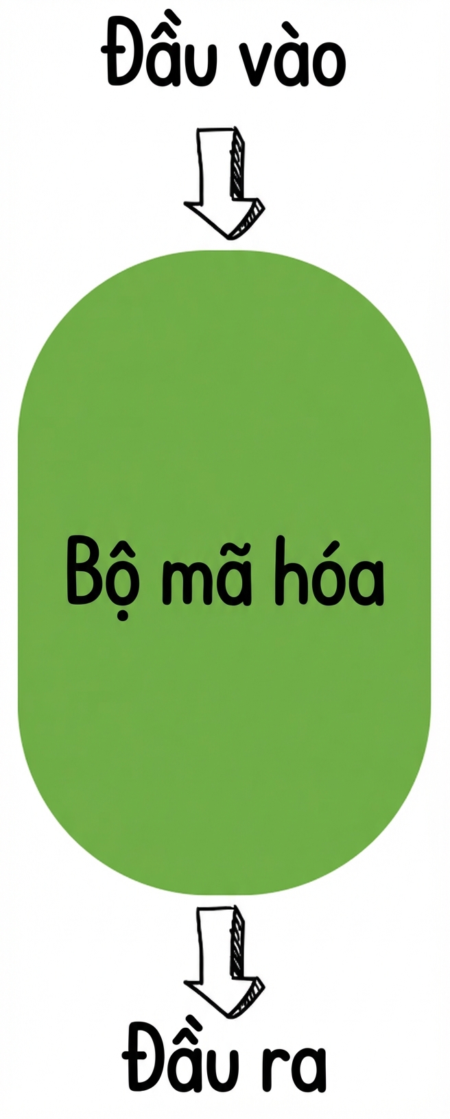 Minh họa chỉ encoder