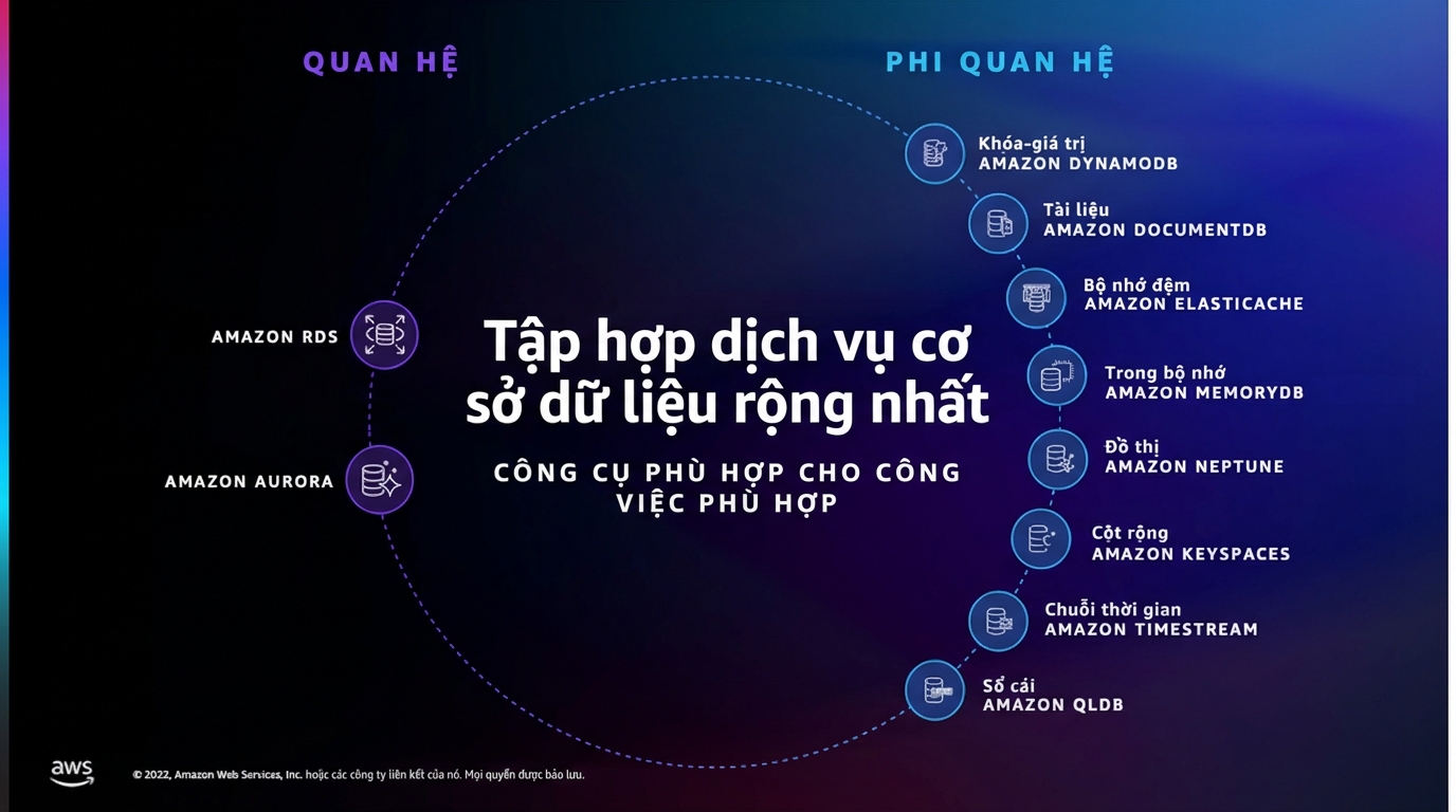 Hình các dịch vụ cơ sở dữ liệu ngoài RDS và DynamoDB