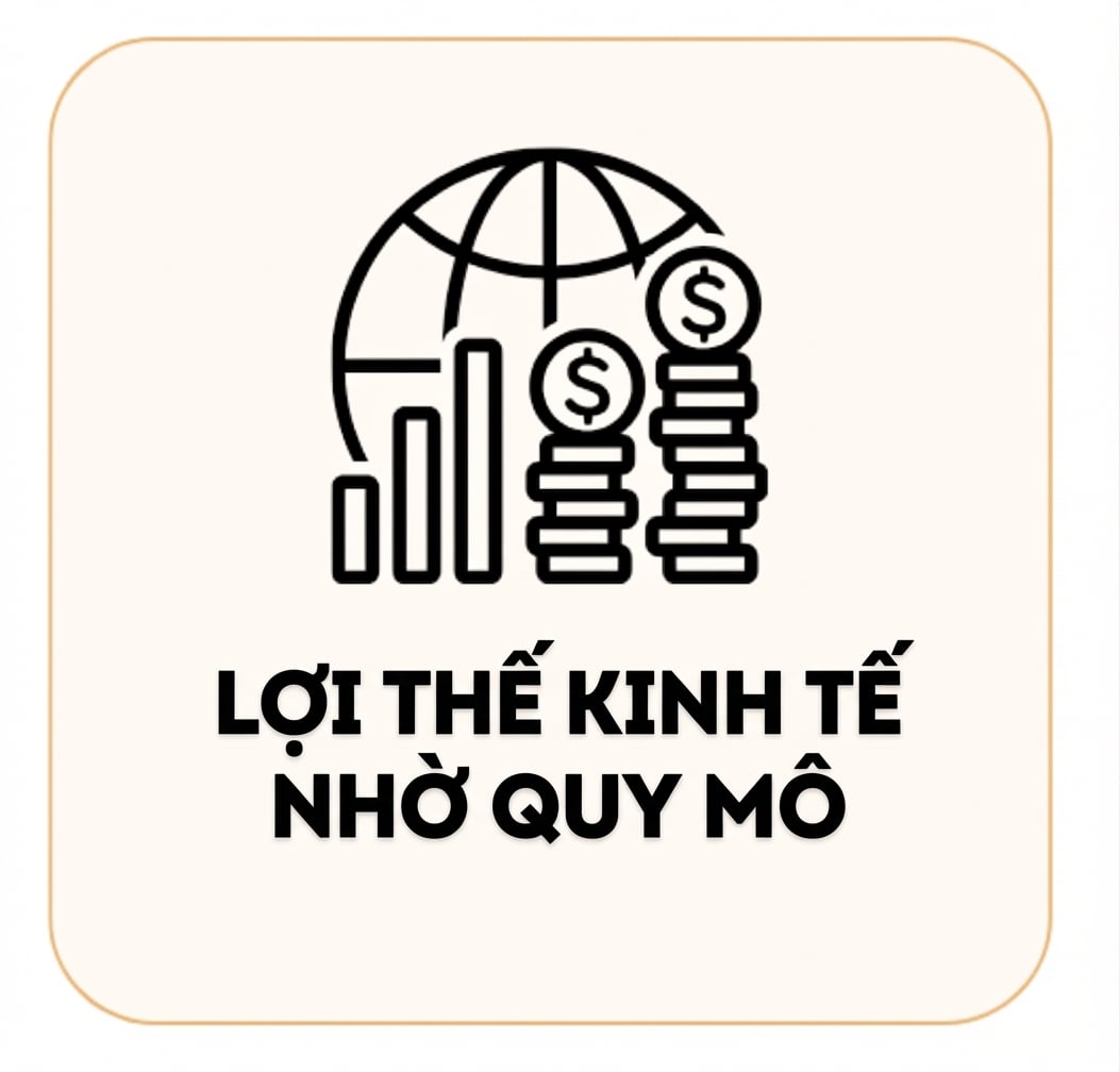 Hình quả địa cầu và tiền